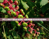 夢(mèng)幻人參果不能完全洗點(diǎn)嗎？探索神秘果實(shí)背后的深層奧秘！