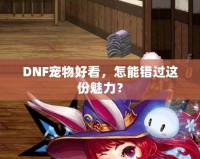 DNF寵物好看，怎能錯過這份魅力？