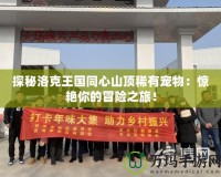 探秘洛克王國同心山頂稀有寵物：驚艷你的冒險之旅！