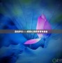 藍(lán)色夢(mèng)幻——感受心靈的詩意與自由