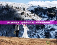 夢(mèng)幻網(wǎng)游世界：暢游奇幻之境，探尋未知的奇跡