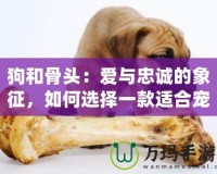 狗和骨頭：愛(ài)與忠誠(chéng)的象征，如何選擇一款適合寵物的骨頭？