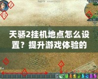 天驕2掛機地點怎么設置？提升游戲體驗的技巧與建議