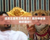 洛克王國有沒有青靈？揭開神秘寵物的面紗！