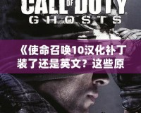 《使命召喚10漢化補丁裝了還是英文？這些原因你必須知道！》