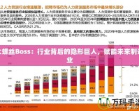 大螺絲Boss：行業(yè)背后的隱形巨人，賦能未來制造業(yè)