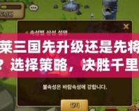 胡萊三國(guó)先升級(jí)還是先將星？選擇策略，決勝千里！