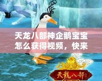 天龍八部神企鵝寶寶怎么獲得視頻，快來一探究竟！