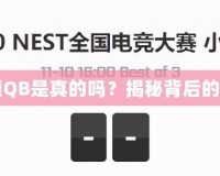 FE電競能領(lǐng)QB是真的嗎？揭秘背后的真相與玩法