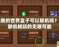 多玩我的世界盒子可以聯(lián)機(jī)嗎？探索聯(lián)機(jī)暢玩的無限可能