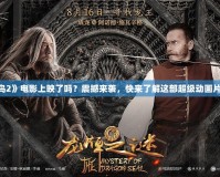 《憤怒的小鳥2》電影上映了嗎？震撼來襲，快來了解這部超級(jí)動(dòng)畫片的背后秘密！