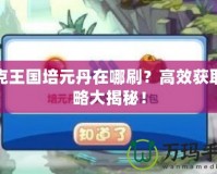 洛克王國(guó)培元丹在哪刷？高效獲取攻略大揭秘！