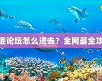 夢幻海底論壇怎么進去？全網(wǎng)最全攻略揭秘