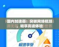 國內(nèi)加速器：突破網(wǎng)絡(luò)瓶頸，暢享高速體驗