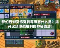 夢幻西游靈飾穿刺等級有什么用？揭開這項隱藏機制的神秘面紗！