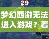 夢幻西游無法進入游戲？看這里，解決方案一網(wǎng)打盡！