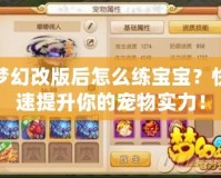夢(mèng)幻改版后怎么練寶寶？快速提升你的寵物實(shí)力！