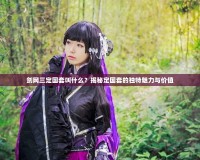 劍網(wǎng)三定國套叫什么？揭秘定國套的獨特魅力與價值