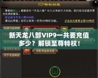 新天龍八部VIP9一共要充值多少？解鎖至尊特權！