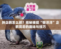 胖企鵝怎么抓？揭秘捕捉“懶洋洋”企鵝背后的趣味與技巧