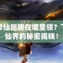 夢幻修仙翅膀在哪里領(lǐng)？飛翔于仙界的秘密揭曉！