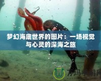 夢(mèng)幻海底世界的圖片：一場(chǎng)視覺與心靈的深海之旅