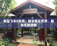 極品飛車8資源：暢享賽車世界，解鎖無限激情