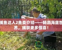 捕魚達人2魚類介紹——暢游海底世界，捕獲更多驚喜！