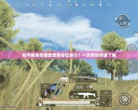 和平精英在哪里查看段位排行？一文帶你快速了解