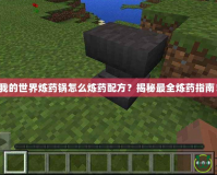 我的世界煉藥鍋怎么煉藥配方？揭秘最全煉藥指南！