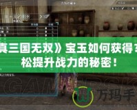 《真三國(guó)無(wú)雙》寶玉如何獲得？輕松提升戰(zhàn)力的秘密！