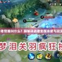 《DNF決戰(zhàn)者覺(jué)醒叫什么？揭秘決戰(zhàn)者覺(jué)醒技能與玩法大改版！》