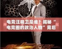 電競(jìng)汪精衛(wèi)是誰(shuí)？揭秘“電競(jìng)?cè)Φ恼稳宋铩北澈蟮纳衩孛婕?></a></div>
                        <div   id=