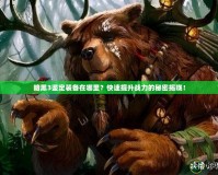 暗黑3鑒定裝備在哪里？快速提升戰(zhàn)力的秘密揭曉！
