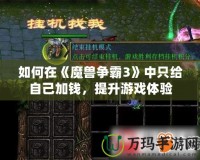 如何在《魔獸爭(zhēng)霸3》中只給自己加錢(qián)，提升游戲體驗(yàn)