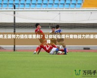 洛克王國(guó)努力值在哪里刷？讓你輕松提升寵物戰(zhàn)力的最佳選擇