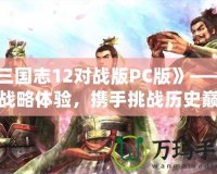 《三國志12對戰(zhàn)版PC版》——全新戰(zhàn)略體驗，攜手挑戰(zhàn)歷史巔峰