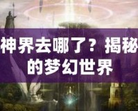 夢幻神界去哪了？揭秘消失的夢幻世界