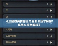 《三國群英傳霸王之業(yè)怎么玩才厲害？高手心得全解析》