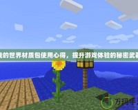 我的世界材質(zhì)包使用心得，提升游戲體驗(yàn)的秘密武器