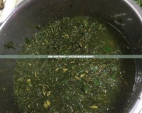 植物大戰(zhàn)僵尸粘彈飯——好玩又好吃的家庭聚會新選擇！