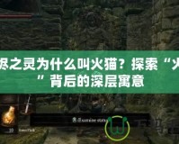 灰燼之靈為什么叫火貓？探索“火貓”背后的深層寓意