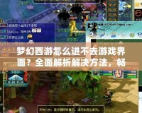 夢(mèng)幻西游怎么進(jìn)不去游戲界面？全面解析解決方法，暢享游戲樂趣