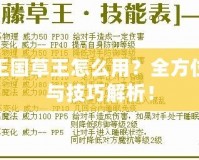 洛克王國草王怎么用？全方位攻略與技巧解析！