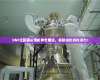 DNF無限貓頭鷹的神奇用途，解鎖你的游戲潛力！