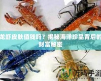 龍蝦皮膚值錢(qián)嗎？揭秘海洋珍品背后的財(cái)富秘密