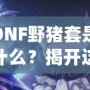 DNF野豬套是什么？揭開這套裝備的神秘面紗，助你征戰(zhàn)地下城！