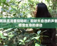 雨林流淚番茄暢聽：聆聽大自然的聲音，感受生命的律動