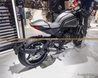 我叫MT2021禮包兌換碼通用，暢玩游戲輕松領(lǐng)福利！