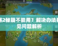 要塞2秘籍不能用？解決辦法和常見問題解析